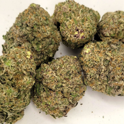 Cherry Guava (AAAA Exotic)