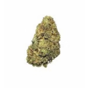 Mambo MG AAA+ thumbnail 1