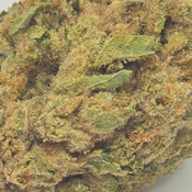 (NEW) Blackberry Punch $75/Oz 🔥  thumbnail 3