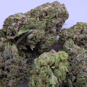 Death Bubba thumbnail 3