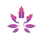 T CANNABIS