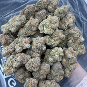 BC 4A CITRUS SLURRICANE – 14G 65$ | 28G 120$ – EXOTIC