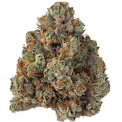 $200 FOR QP - Dark Night OG 