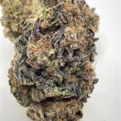 *NEW* Bombsicle - 4A High Grade