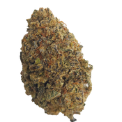 BC (AAAA) BLUE PETROL thumbnail 2