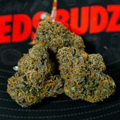 Black Sherbet