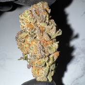 Ghost Rider OG | 24-28% THC | SATIVA | $100 OZ | $180 / 2 OZ thumbnail 2