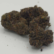 AAA White Skunk 2OZ for 170