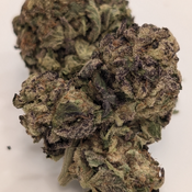 AAA+ DEATH BUBBA