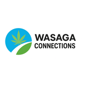 WASAGA CONNECTION