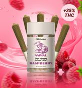5pk(3G) Raspberry / THCa Diamond infused Joint