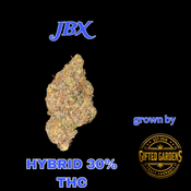 JBX - GIFTED GARDENS🎁🔥