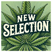 Canna-Corp-Canada.com