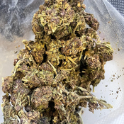 AA FULL POUND Dirty Little Secret