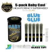 Caviar Gold l Baby Cavi l Blue Glue l 2.5g 5pk