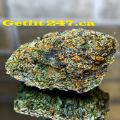 "Premium" Ruby Violet - Hyrid 70% Sativa / 30% Indica - THC 31-32%