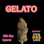 GELATO - MAD DAB LABS🔥🔥🔥🔥🔥