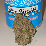 5A Blue Biscotti 🔷️👑🔷️👑🔷️👑🔷️👑🔷️👑