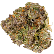 ISOLATION PINK - HIGH QUALITY 