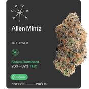 Alien Mintz