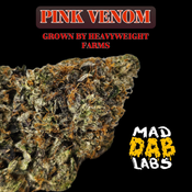 PINK VENOM - grown by heavyweight farms🔥🔥🔥🔥🔥