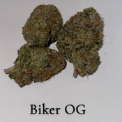 5A Biker OG 🏍 🔥🏍🔥🏍🔥🏍🔥🏍