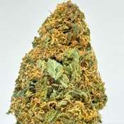 $60 OZ ON $ALE!!  ~  MK Ultra - Mix & match                                                              