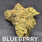 Blueberry Indica Dominant 