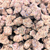 ALIEN FIGHTER 👽⚔️ **70oz**2oz/125$**  thumbnail 2