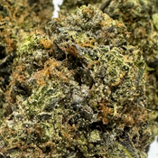 (NEW) Night Terror OG thumbnail 3