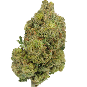 BC (AAA) KING KUSH 