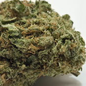 (NEW) Las Vegas Pink Gas 🔥$100oz🔥 thumbnail 4