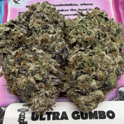 ULTRA GUMBO