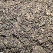 ($ALE) CRAFT ICE-CREAM CAKE SHAKES $45/oz $105/qp