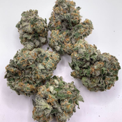 *NEW* Gasoline Lolipop 4A