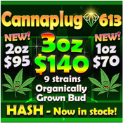 CannaPlug 613