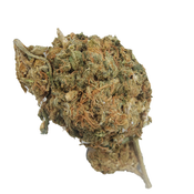 BC (AAA) GIRL SCOUT COOKIES thumbnail 2