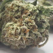 (NEW) Pineapple Marker  🔥$60/oz 2 Oz for $100🔥  thumbnail 3