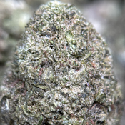 Half Pound - Candy Store🍬🏪Indica - 1 Pound Wholesale Weed for $450 - LIMITED TIME  thumbnail 3