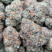 (28G) - BC Alien Cream Cake 👽⛽Hybrid | 2Oz Bulk Deal for $250 thumbnail 3