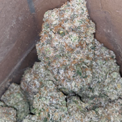 Black Gas AAA 26.84%thc