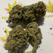 *******VIOLATOR KUSH****** thumbnail 2
