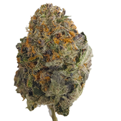 BC (AAAA) WHITE WALKER thumbnail 4