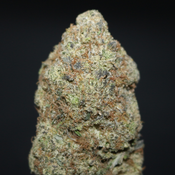 AAAA+ | GRAPE DRANK  BY GAS GARDEN - 3.5G