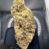 *NEW* Monkey King 4A