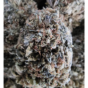 BLUEBERRY HAZE ****SALE***$70oz 2FOR$130 4FOR$250