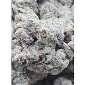 50% SNOWBALL GRAPE GAS 150oz 2for280 4for540 thumbnail 2