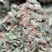 (28G) - Purple Snake 🐍⛽Indica | Bulk Deal for $200 thumbnail 2