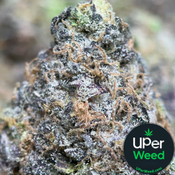 (28G) - Rare Darkness 😮‍💨🌚Indica | 2 Oz Left