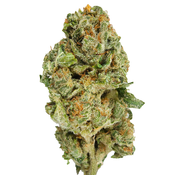 BC (AAA) PEDRO'S SWEET SATIVA
